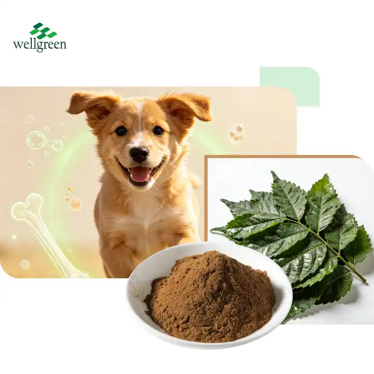 Eucommia Extract Feed Grade